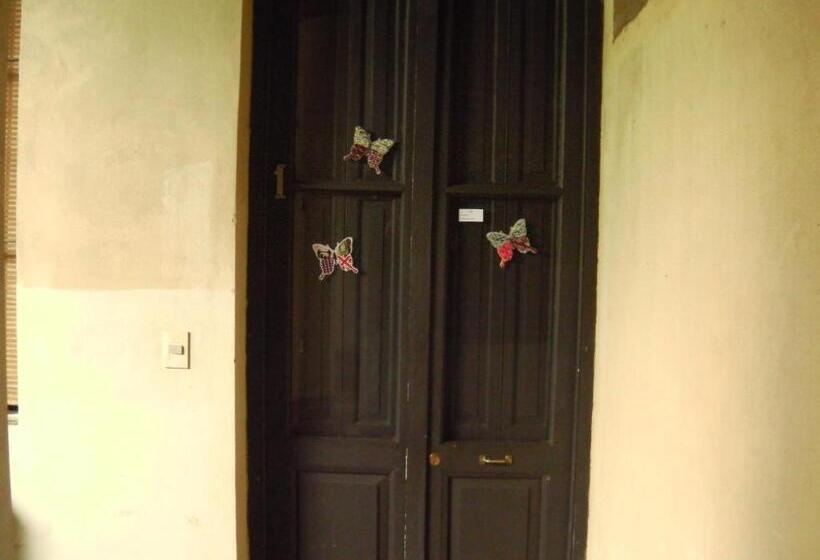 اتاق استاندارد, Panambi