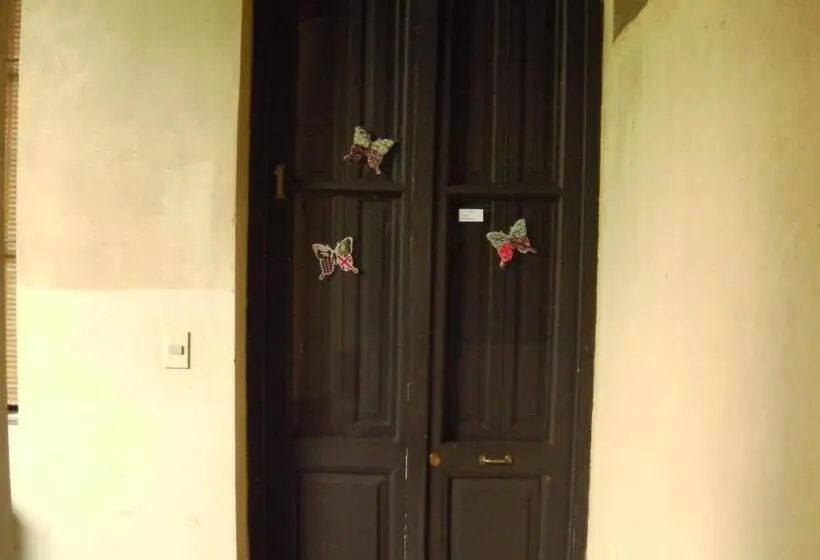 اتاق استاندارد, Panambi