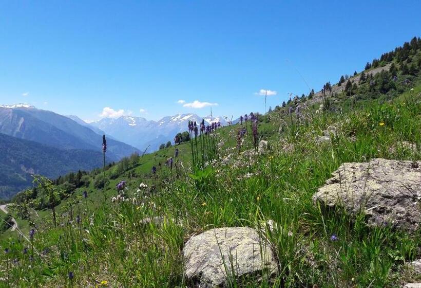 家庭间, Chalet Solneige