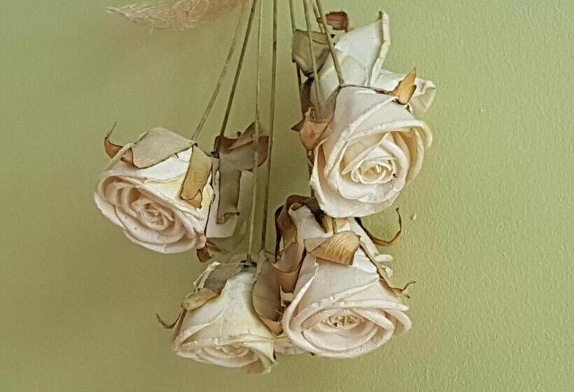 标准间, Chalet Solneige