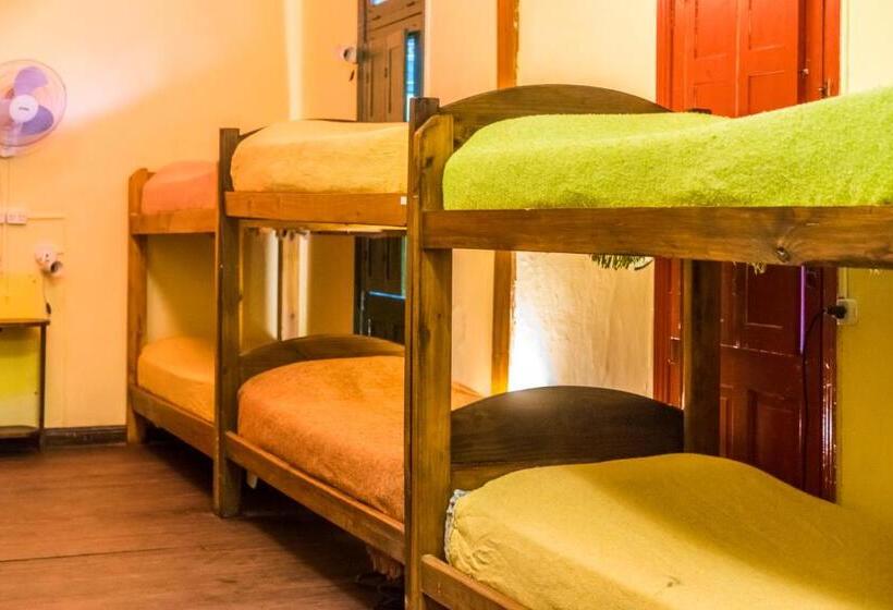 Кровать в Общей Комнате, Hostel Casagrande   Adults Only