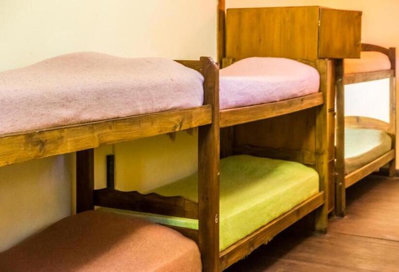 Кровать в Общей Комнате, Hostel Casagrande Adults Only