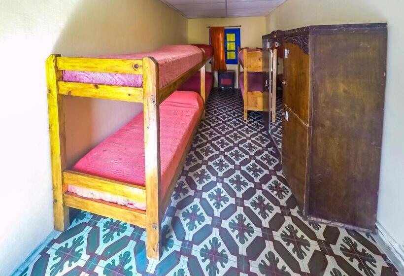 Кровать в Общей Комнате, Hostel Casagrande Adults Only