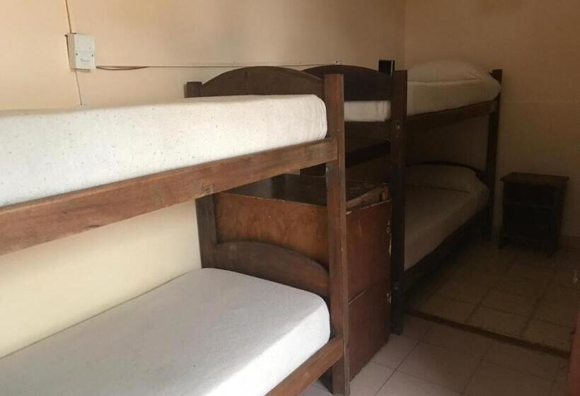 Кровать в Общей Комнате, Hostel Casagrande Adults Only