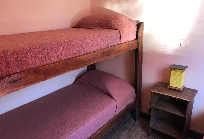 Номер Стандарт Трехместный, Hostel Casagrande   Adults Only