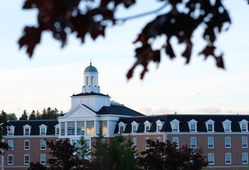 ２ダブルベッドのスタンダードルーム, Stfx University Summer