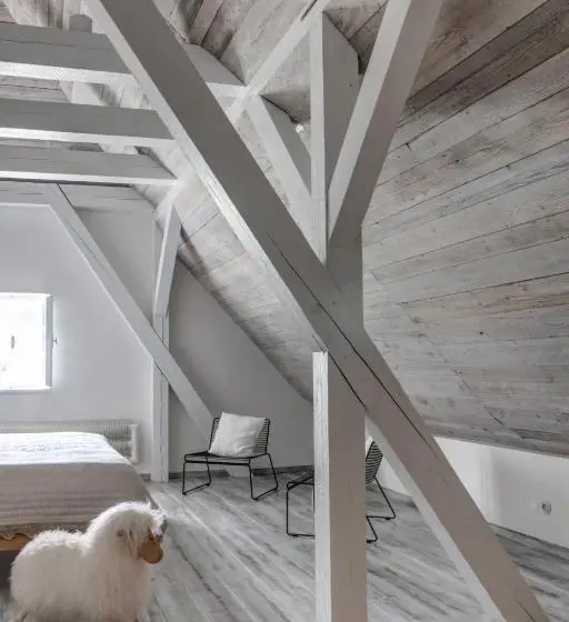 デラックスルーム, Boutique Hotel Mezi Plutky