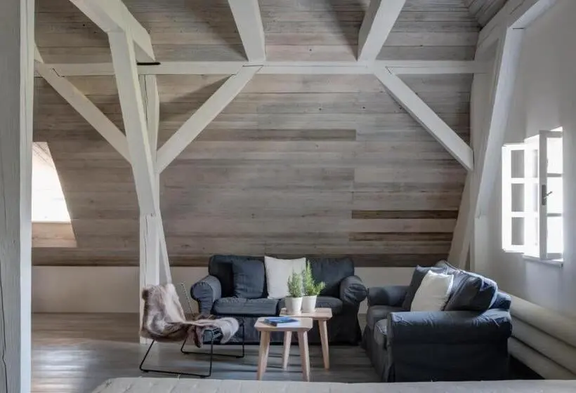 デラックススイート, Boutique Hotel Mezi Plutky