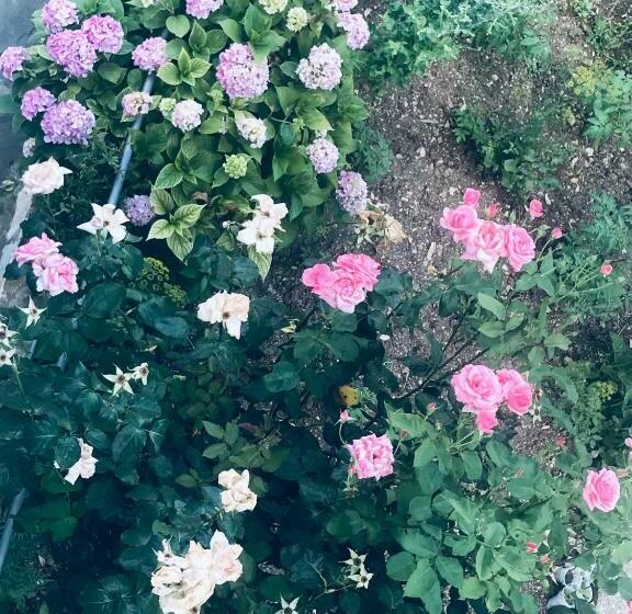 اتاق استاندارد با چشم‌انداز شهر, Ahmetaj Guest House