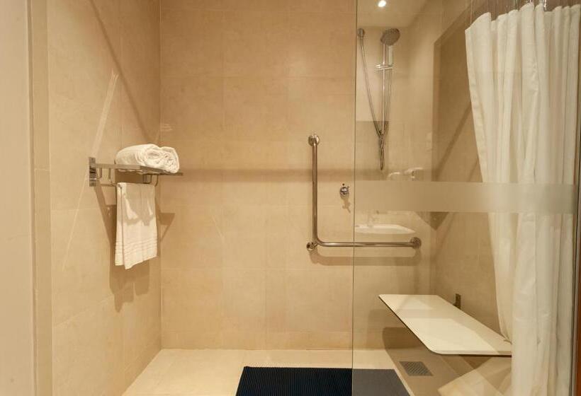 Номер Стандарт Кровать Кинг Адаптированный для Инвалидов, Radisson Hotel Anápolis