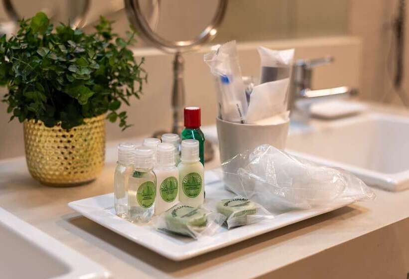 Номер Superior, Radisson Hotel Anápolis