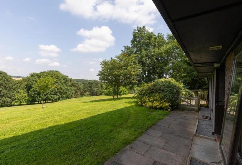 غرفة قياسية, The View