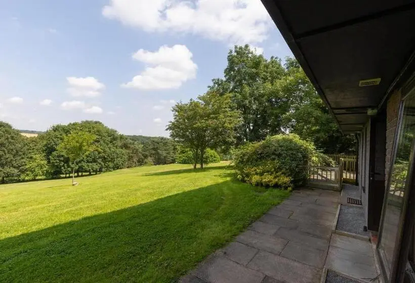 スタンダードルーム, The View