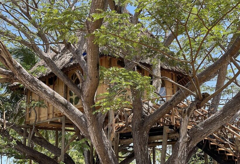 1ベッドルームハウス, Antonio Beach Hotel And Spa