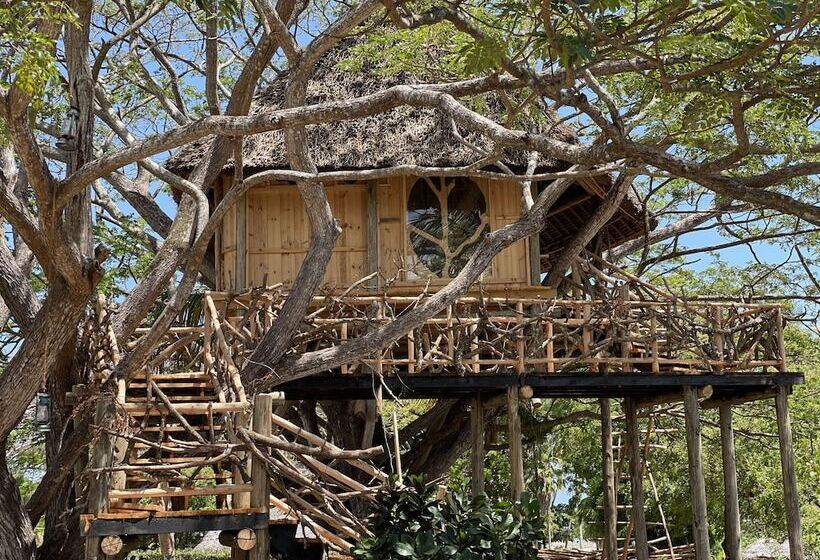 1ベッドルームハウス, Antonio Beach Hotel And Spa