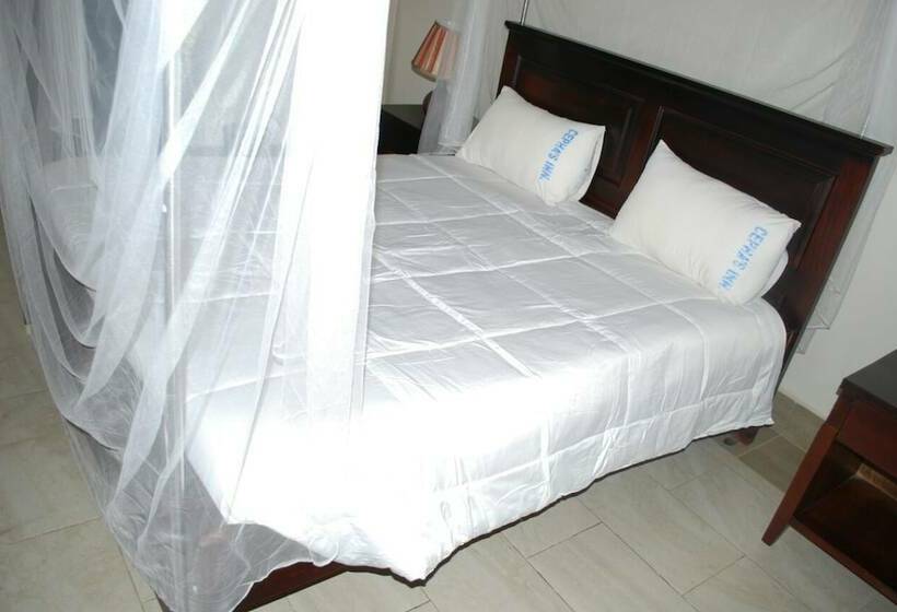 اتاق استاندارد, Cephas Inn