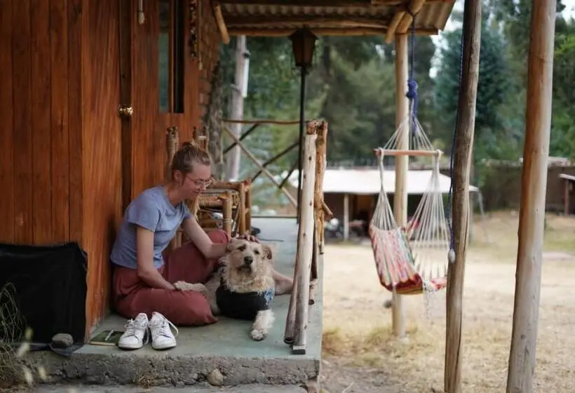 اتاق استاندارد با چشم‌انداز کوهستان, Tony S House Eco Hostel