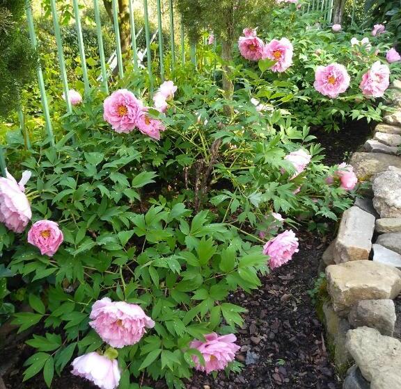 Апартаменты 1 Спальня Вид на Сад, Alle Rive Bed'n'books Apt