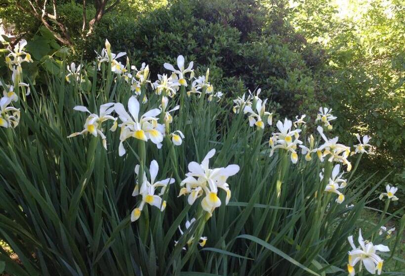 Апартаменты 1 Спальня Вид на Сад, Alle Rive Bed'n'books Apt