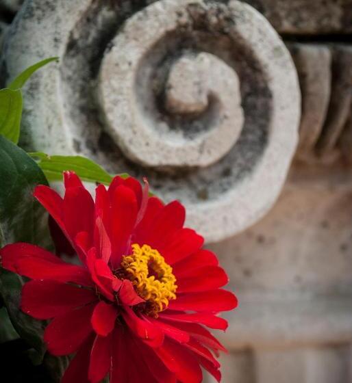 סוויטה עם טרסה, L'incanto