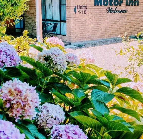 キングサイズベッドのスーペリアルーム, Muswellbrook Motor Inn