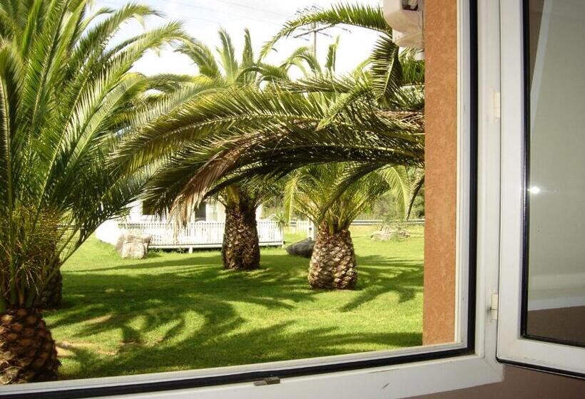 트리플 클래식 룸, Le Banana's