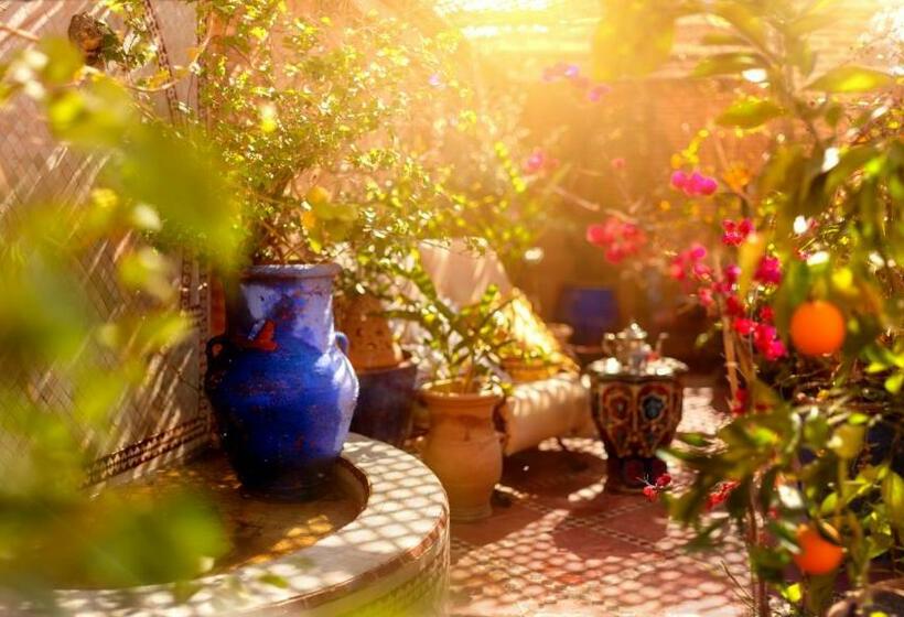اتاق سوپریور, Riad Persephone