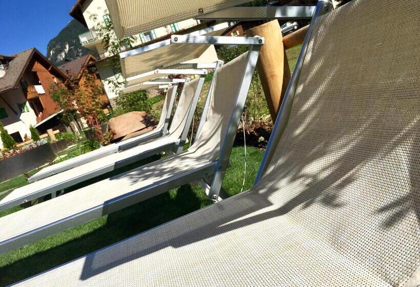 Studio Deluxe, B&b Cèsa Planber Mountain View Ski In Ski Out