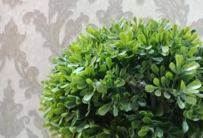 חדר סטנדרט, Elephant House Boutique