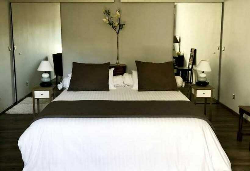 スタンダードルーム, Joly