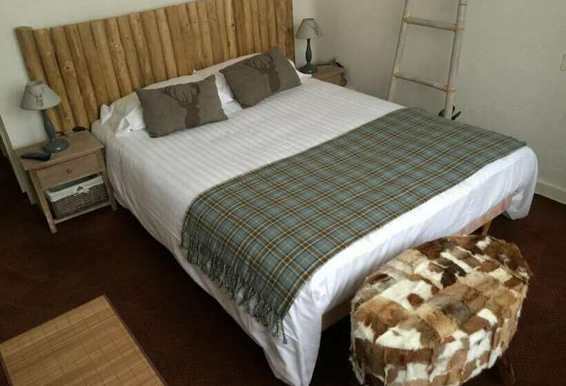 スタンダードルーム, Joly