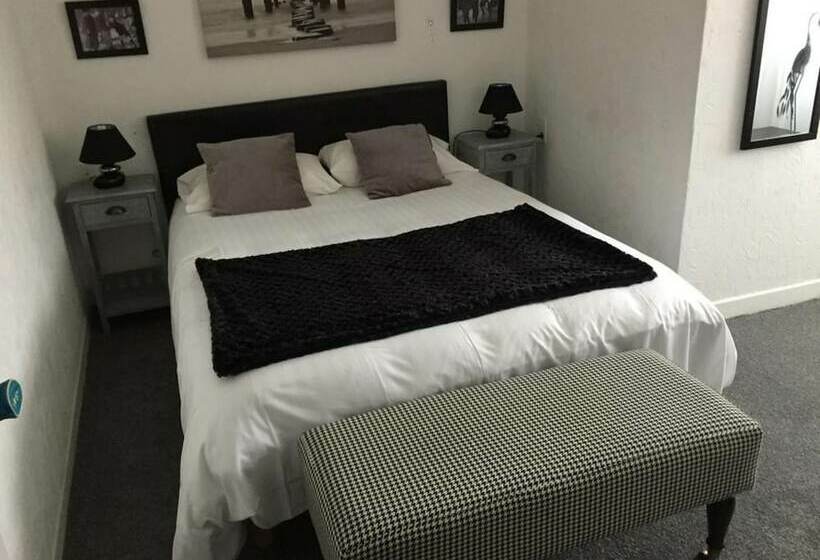 スタンダードルーム, Joly