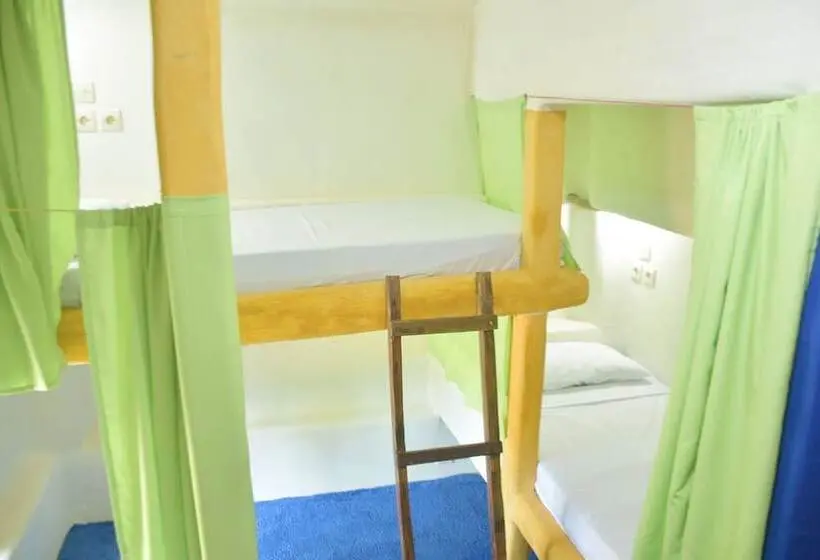 ルームシェアのワンベッド, The Rabbit Tree Hostel