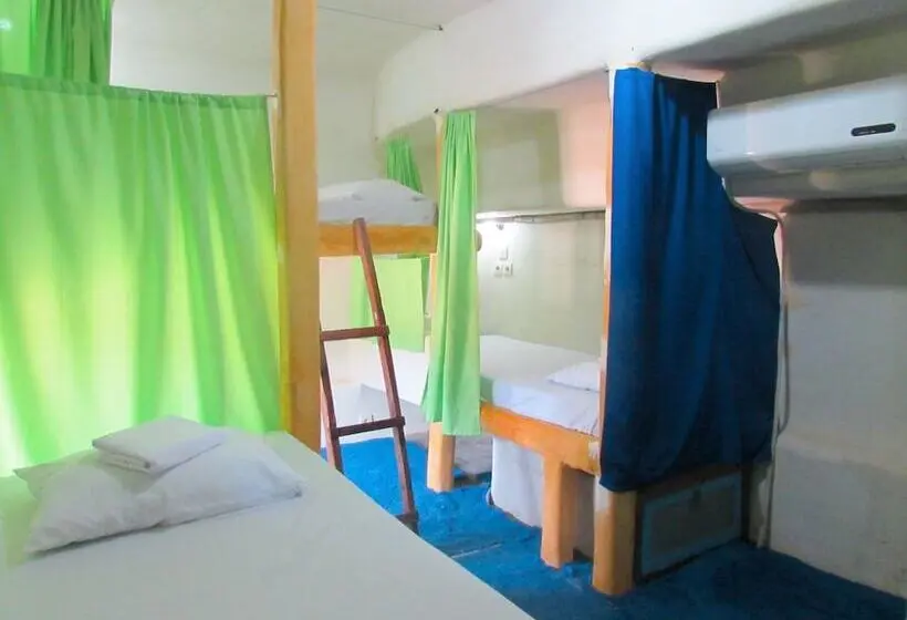 ルームシェアのワンベッド, The Rabbit Tree Hostel
