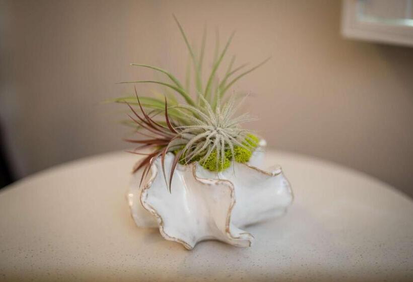 חדר סטנדרט מותאם לאדם עם מוגבלויות, Aristocrat Hotel, Bw Signature Collection