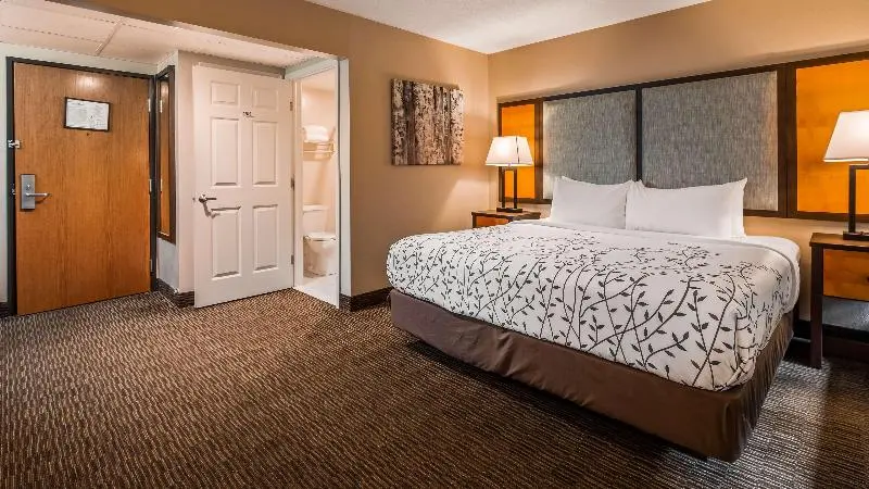 身障者適用スタンダードルーム, Grand Beach Hotel Bay Harbor