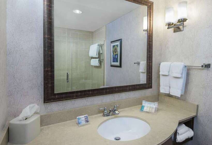 Стандартный Номер Кровать Кинг, Hilton Garden Inn Jackson