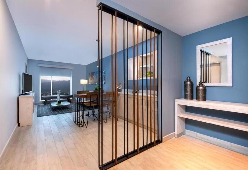 带大床的套房, Hyatt Place San Pedro