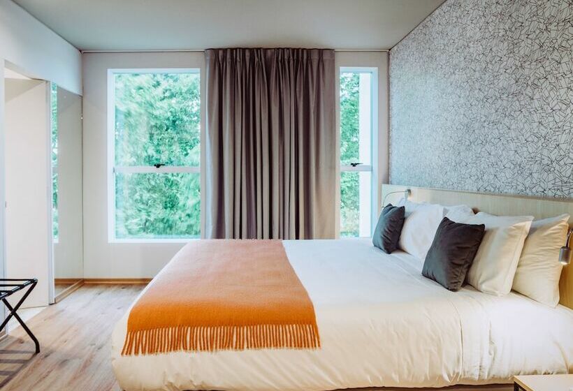 ダブルベッドスタンダードルーム, Pleno Madero