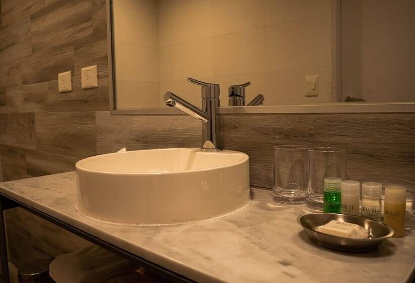 ダブルベッドのスタンダードシングルルーム, Pleno Madero