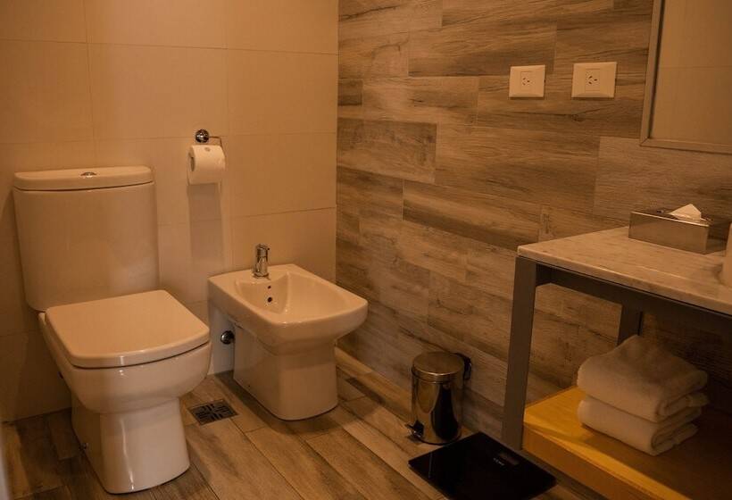 ダブルベッドのスタンダードシングルルーム, Pleno Madero