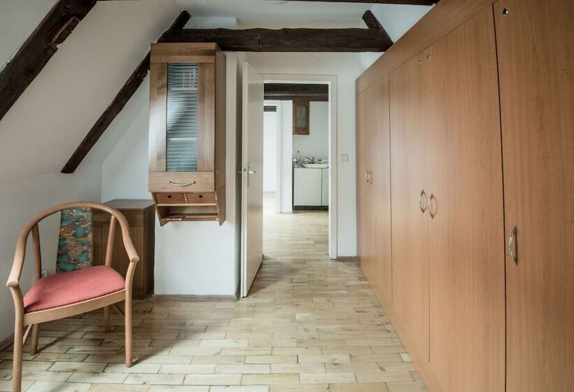 اتاق ساده سه‌ نفره, Charles Bridge Hostel & Apartments