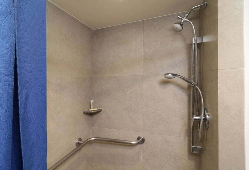 غرفة قياسية, City Express Junior By Marriott San Luis Potosi Zona Industrial