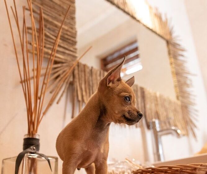 Quarto Deluxe Vista Jardim, Gramercy Tulum