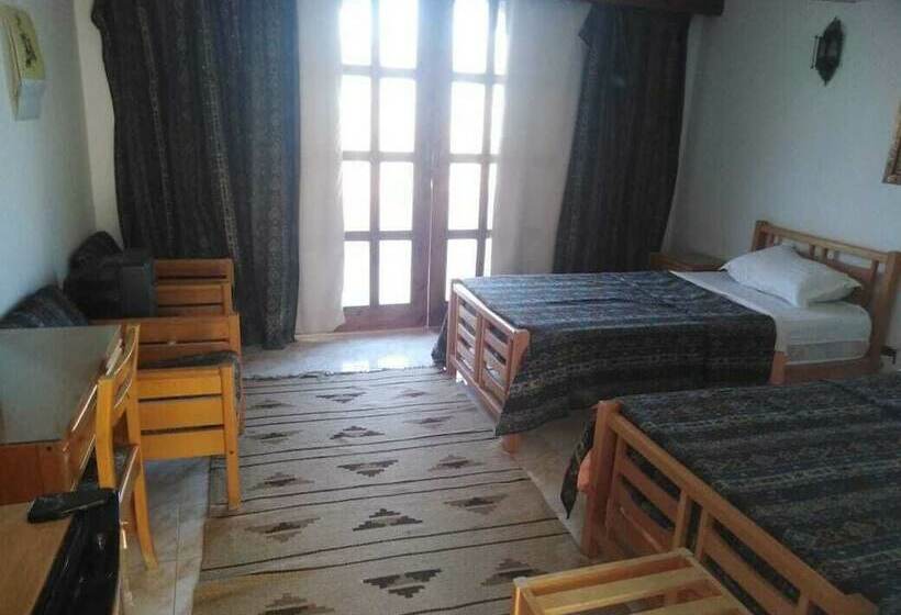 اتاق سوپریور, Lagona Village Hotel   Dahab