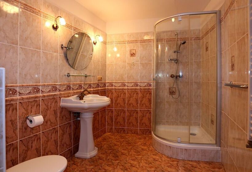 스탠다드 룸, Spa Hotel Purkyně