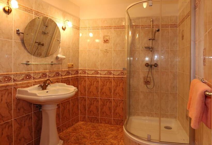 스탠다드 룸, Spa Hotel Purkyně