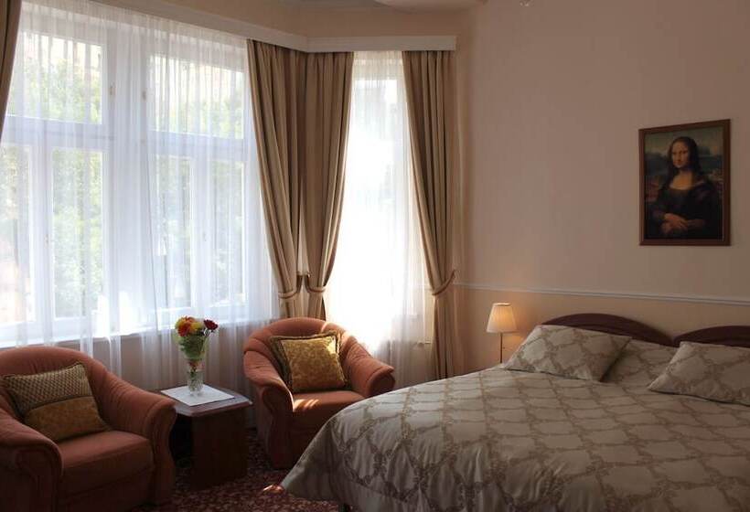 스탠다드 룸, Spa Hotel Purkyně