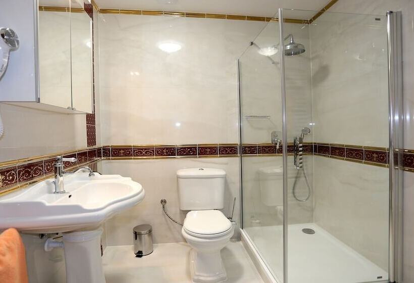 스탠다드 싱글 룸, Spa Hotel Purkyně