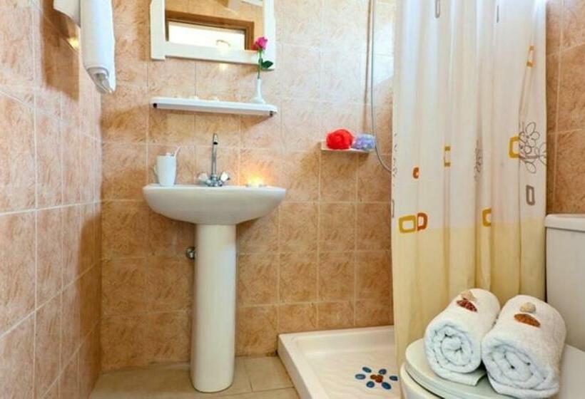 اتاق استاندارد, Elena S Studios